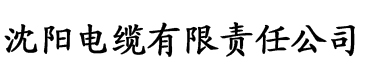 茄子视频APP懂你更多电缆厂logo